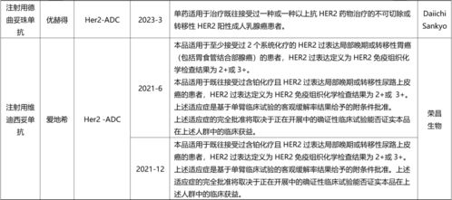 盤(pán)點(diǎn)國(guó)內(nèi)已上市ADC與雙抗藥物全景圖及國(guó)內(nèi)貿(mào)易代理格局